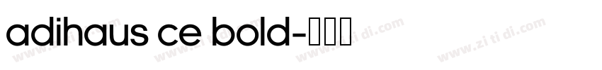AdiHaus CE Bold字体转换